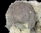 Wavellite Mineral